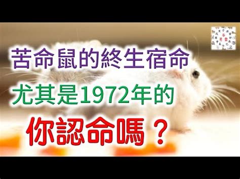 1972屬什麼|1972是民國幾年？1972是什麼生肖？1972幾歲？